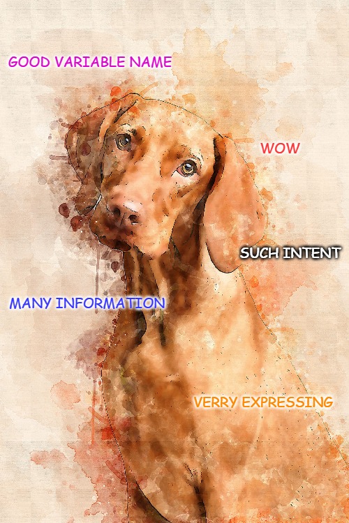 meme; dog, good variable name, wow, such intent, much information, very expressing, 